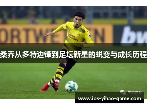 桑乔从多特边锋到足坛新星的蜕变与成长历程 桑乔从多特边锋到足坛新星的蜕变与成长历程