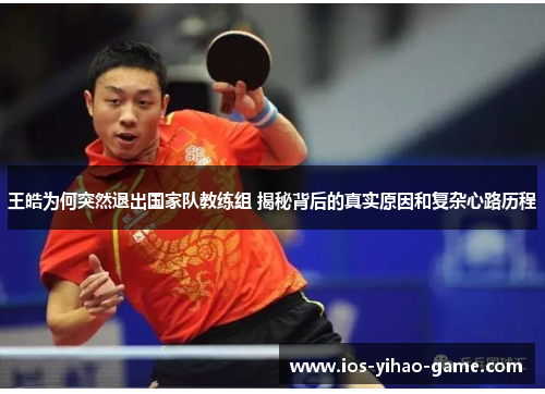 王皓为何突然退出国家队教练组 揭秘背后的真实原因和复杂心路历程 王皓为何突然退出国家队教练组 揭秘背后的真实原因和复杂心路历程