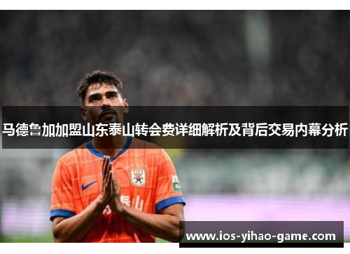 马德鲁加加盟山东泰山转会费详细解析及背后交易内幕分析