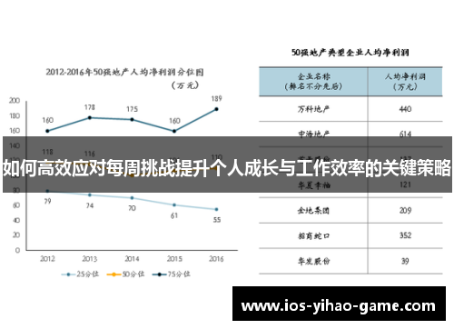 如何高效应对每周挑战提升个人成长与工作效率的关键策略
