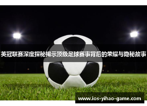 英冠联赛深度探秘揭示顶级足球赛事背后的荣耀与隐秘故事