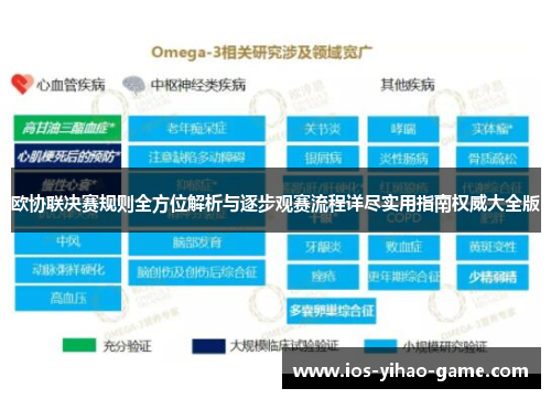欧协联决赛规则全方位解析与逐步观赛流程详尽实用指南权威大全版